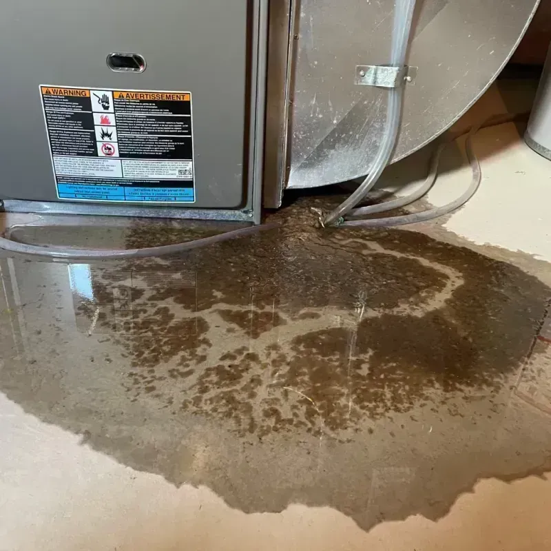 Appliance Leak Cleanup in Kewaunee, WI